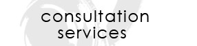 consultation services