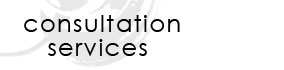 consultation services